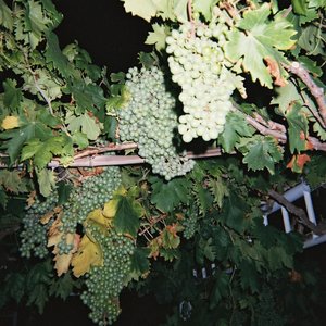 蕾丝短裙打底裤乱伦喷水综合区
